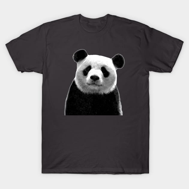 Black and White Panda T-Shirt by Alemi